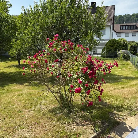 Apartamento Haus Einruhr