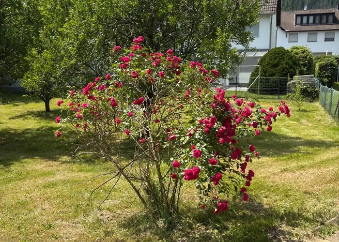 Apartamento Haus Einruhr